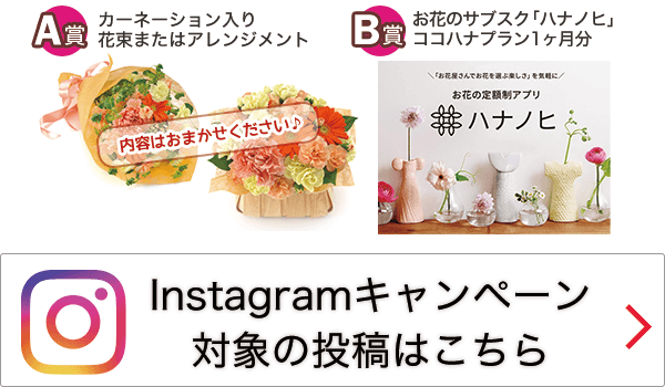 InstagramLy[Ώۂ̓e͂I