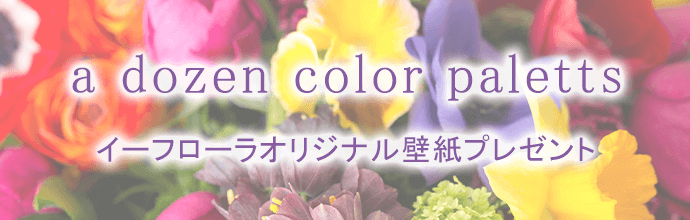 ̂̉ԁua dozen color palettesv
