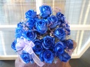 blue blue rose(õAWj csRǒ̂ԉu͂퐶ԓXvt[Mtg₨Ԃ̑zȂC[t[