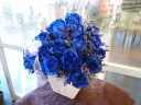 blue blue rose(õAWj csRǒ̂ԉu͂퐶ԓXvt[Mtg₨Ԃ̑zȂC[t[