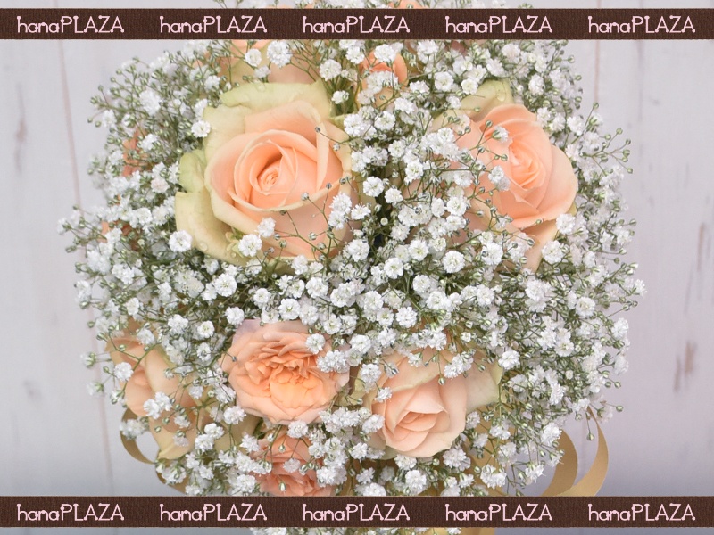 hana*PLAZA WeddingBouquetbԉut[Xg iJv̂