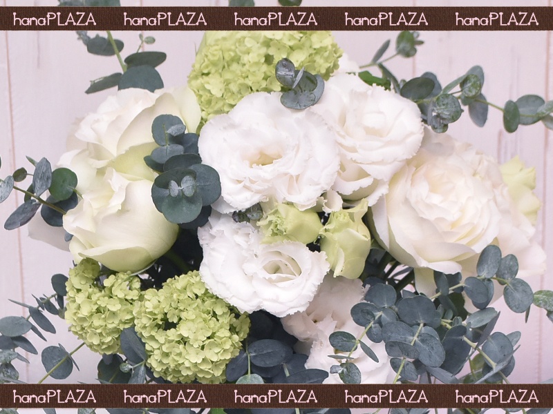 hana*PLAZA WeddingBouquetbԉut[Xg iJv̂