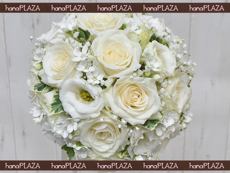 hana*PLAZA WeddingBouquetbԉut[Xg iJv̂