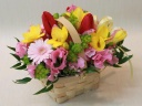 Spring Basket(RED) cJctĴԉuЃt[Xgc cJXvt[Mtg₨Ԃ̑zȂC[t[