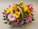 Spring Basket(Y) cJctĴԉuЃt[Xgc cJXvt[Mtg₨Ԃ̑zȂC[t[