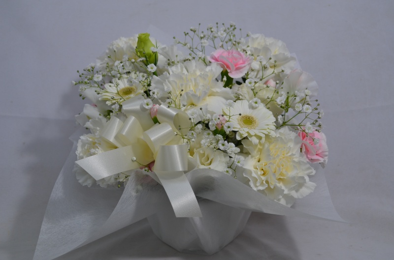 White Arrangement 3.0bԉuԂ̕Gv̂