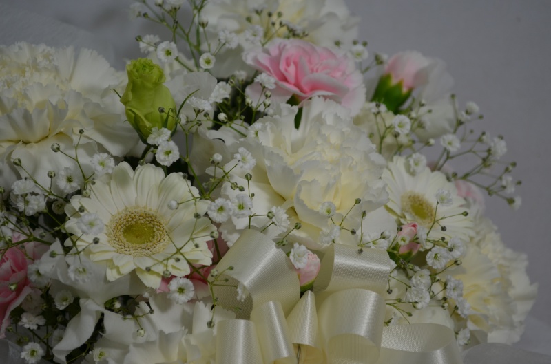 White Arrangement 3.0bԉuԂ̕Gv̂