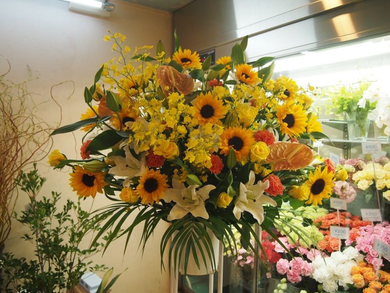 Sun Flower Stand 20.0bԉuԂ̕Gv̂