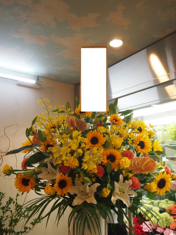 Sun Flower Stand 20.0bԉuԂ̕Gv̂