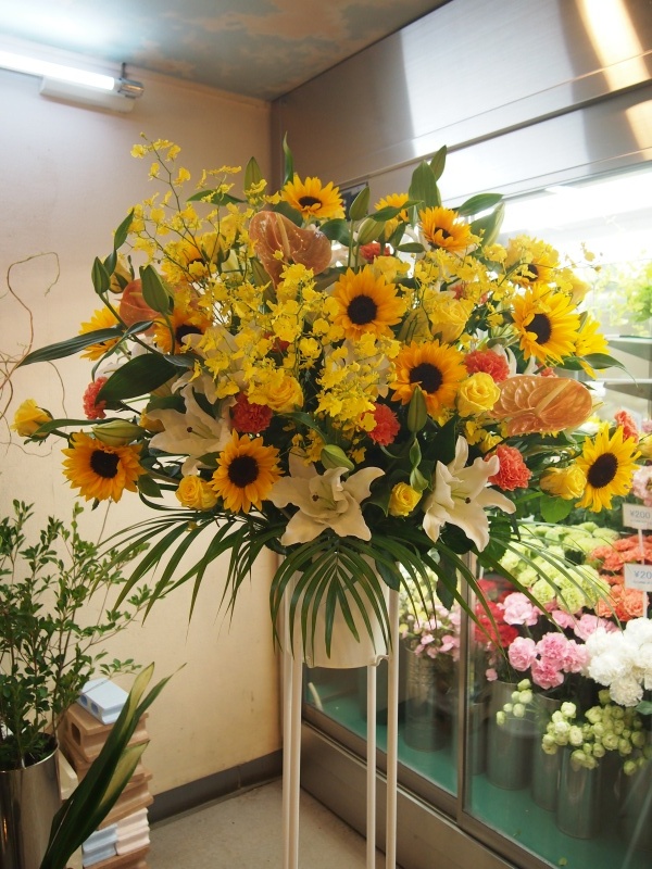 Sun Flower Stand 20.0bԉuԂ̕Gv̂