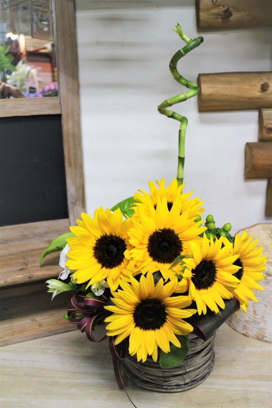 sunflower basket@SU-015bԉu qq|qv̂