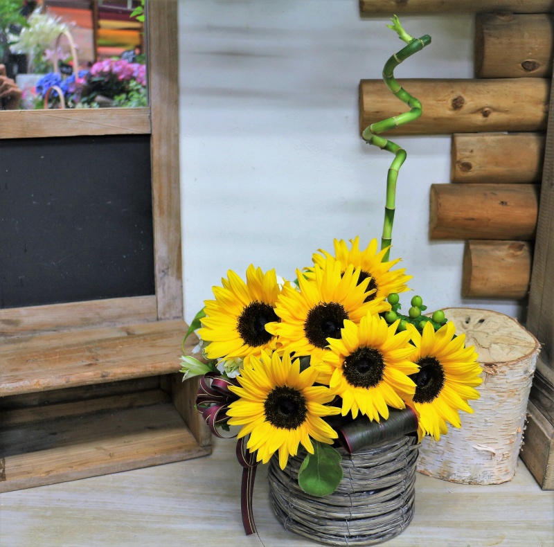 sunflower basket@SU-015bԉu qq|qv̂