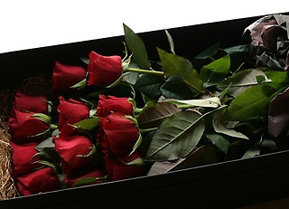 Dozen Roses Box Bouquet