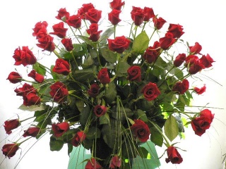 Red Roses Arrangement s搼{̂ԉueknqhrs mhgnm dmfdhvt[Mtg₨Ԃ̑zȂC[t[