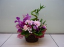 Happy Arrangement _ˎsẑԉui bvt[Mtg₨Ԃ̑zȂC[t[