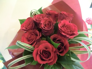 ï`9 red roses
