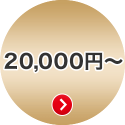 @llEƗl̉ 20,000~ȏ̉