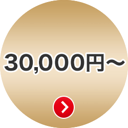 @llEƗl̉ 30,000~ȏ̉