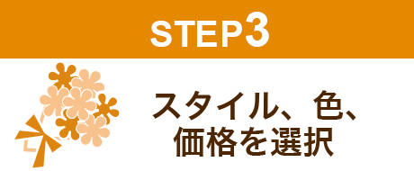 STEP3/X^CAFAiI