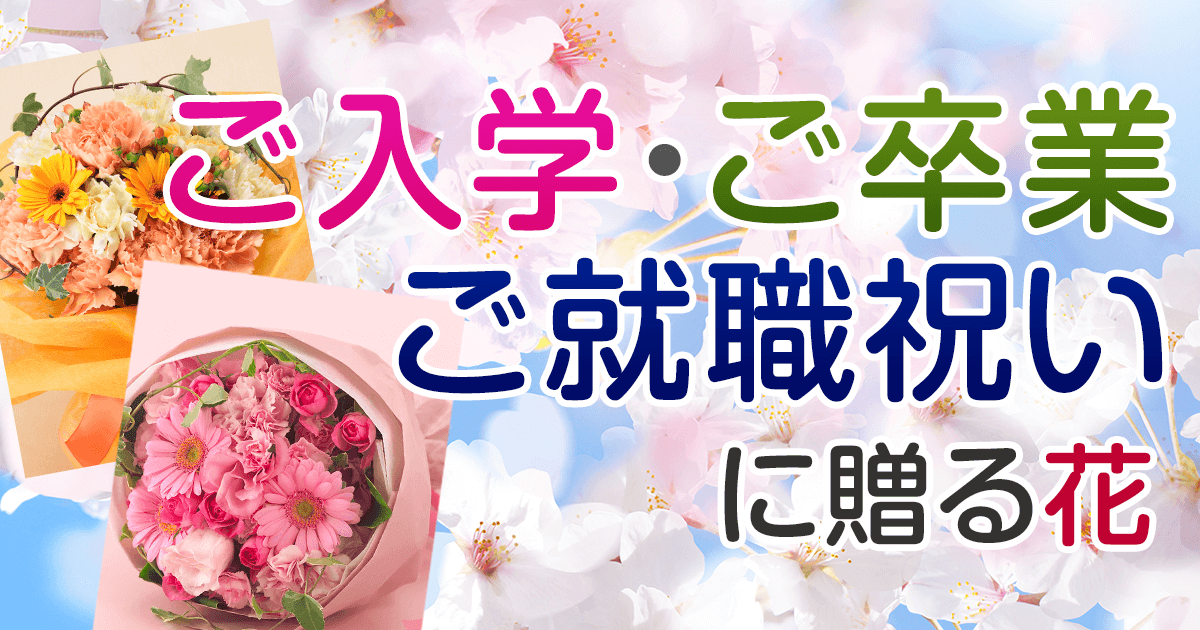 入学 卒業 就職祝いのお花のプレゼント ギフト特集 イーフローラ 入学 卒業 就職祝いにフラワーギフトを贈ろう