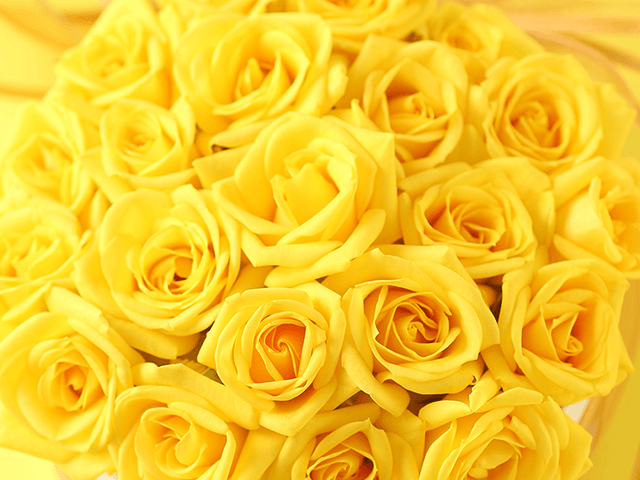 ̓̉ԁ@CG[EIWno