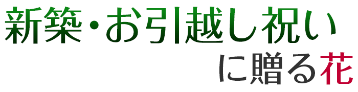 VzEzjɑ