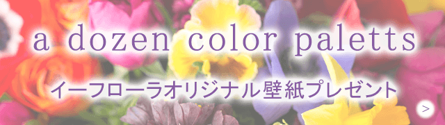 ̂̉2024Nua dozen color palettesv͂