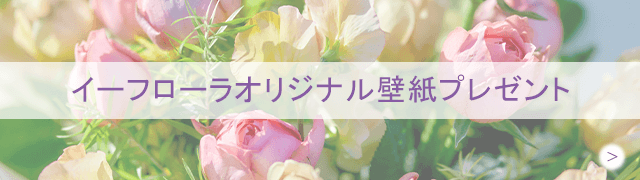 ̂̉2025NuSeasonal Bouquet Collectionv͂