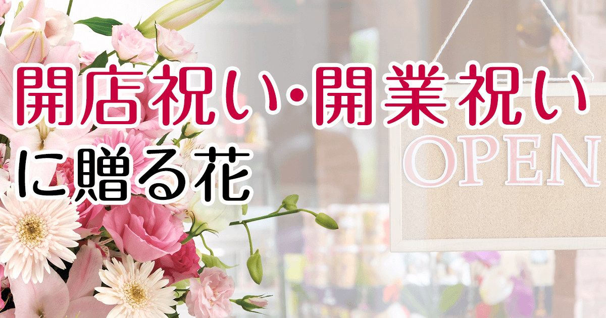 開店祝い 開業祝いのお花のプレゼント ギフト特集 イーフローラ 開店祝い 開業祝いはフラワーギフトを贈ろう