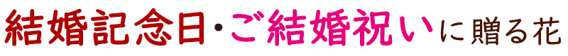 LOEjɂ͉Ԃv[g