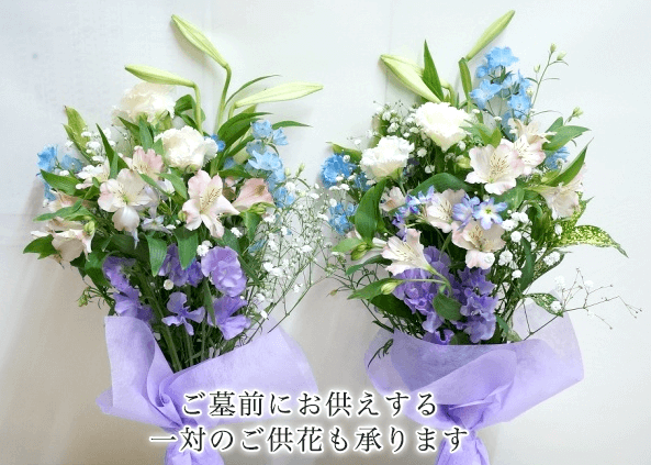 ̉ԂAX\