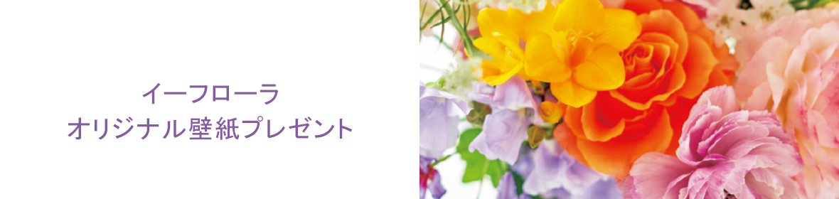 Seasonal Bouquet Collection SŊ12F̉ԂB