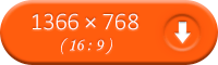 1366~768