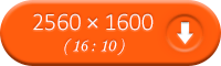 2560~1600