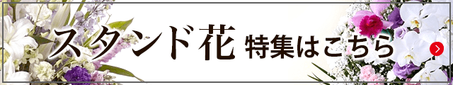 X^hԁ@W͂