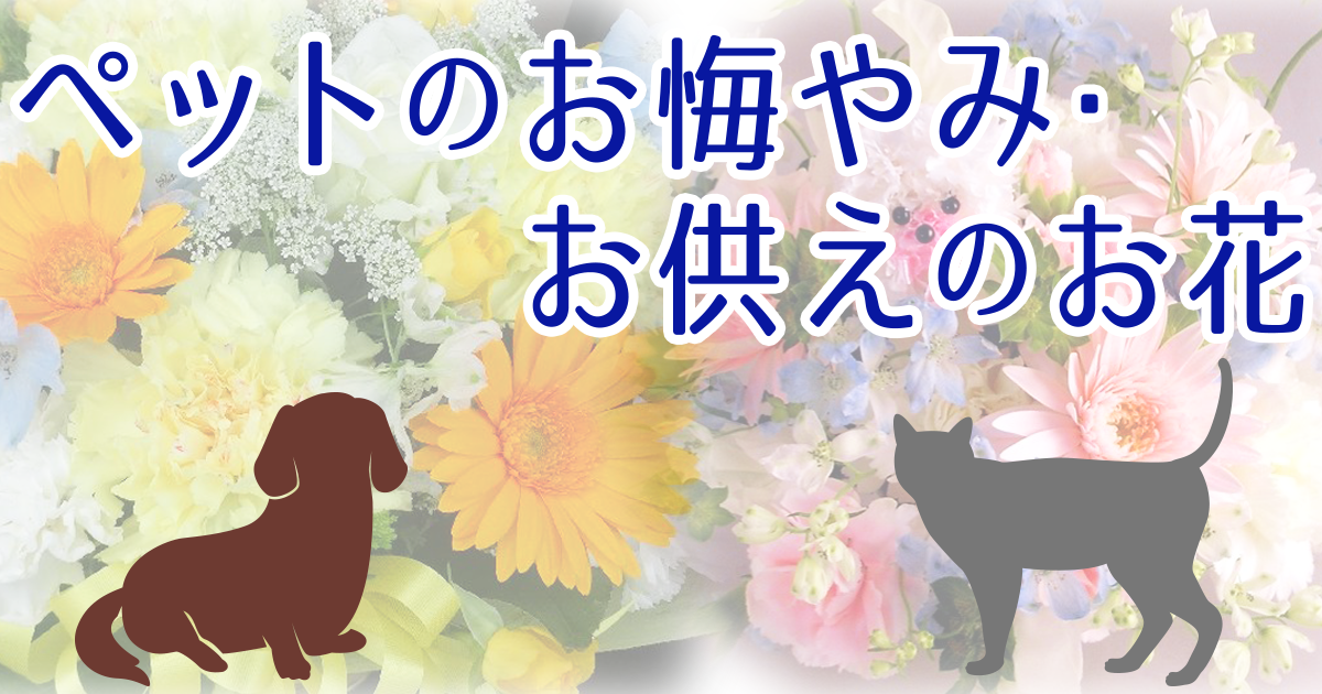 ペットのお悔やみ お供えに贈るお花 イーフローラ