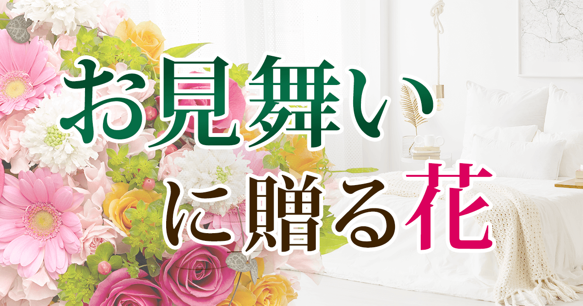 お見舞いのお花のプレゼント ギフト特集 イーフローラ お見舞いにフラワーギフトを贈ろう