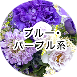 u[Ep[vn