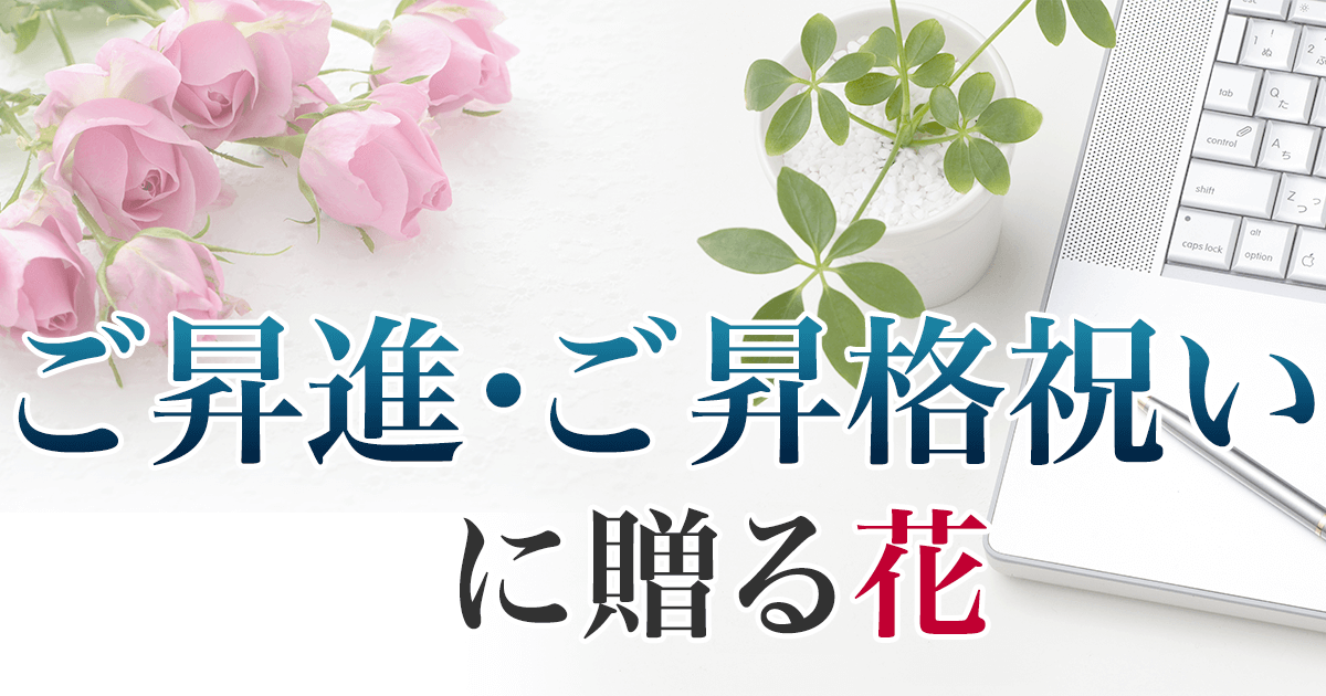 昇進 昇格祝いに贈るお花のプレゼント ギフト特集 イーフローラ