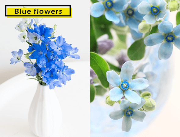 青い花を飾る