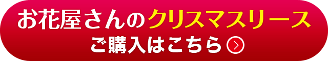 ԉ̃NX}X[X w͂炩