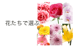 おしゃれな花屋オンライン「イーフローラ 」花を指定して絞り込める検索機能
