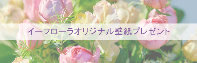 ̂̉ԁuSeasonal Bouquet Collectionv