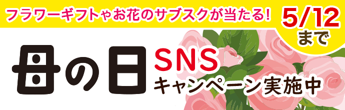 ̓SNSLy[