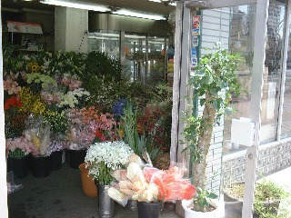 大堀生花店 札幌市中央区南８条西のお花屋さん イーフローラ フラワーギフトや花の宅配 送料無料も多数