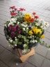 母の日　寄せ鉢　パート１ 室蘭市宮の森町のお花屋さん「花のよしおか」母の日の花を始め、フラワーギフトやお花の宅配ならイーフローラ