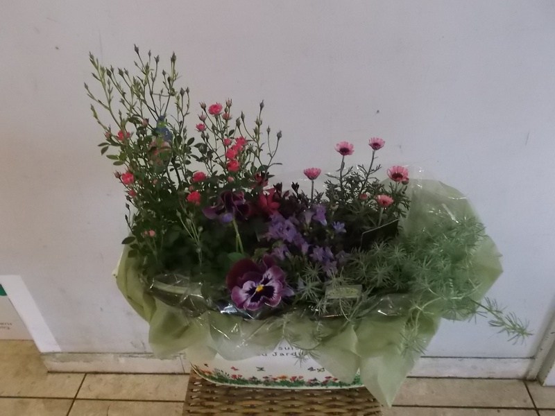 ミニバラの寄せ鉢｜お花屋さん「花のよしおか」の母の日のお花