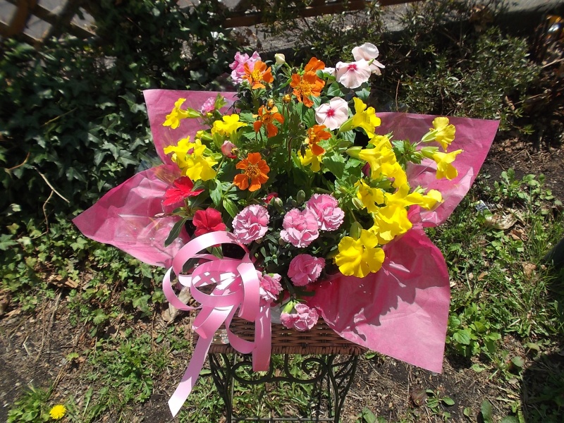 母の日寄せ鉢　　　　　　　　　　　　　　　　　　　｜お花屋さん「花のよしおか」の母の日のお花