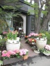 「札幌１０区 ミルフルール」札幌市中央区南１０条西のお花屋さん｜花を贈るならお花屋さんネットワーク「イーフローラ」