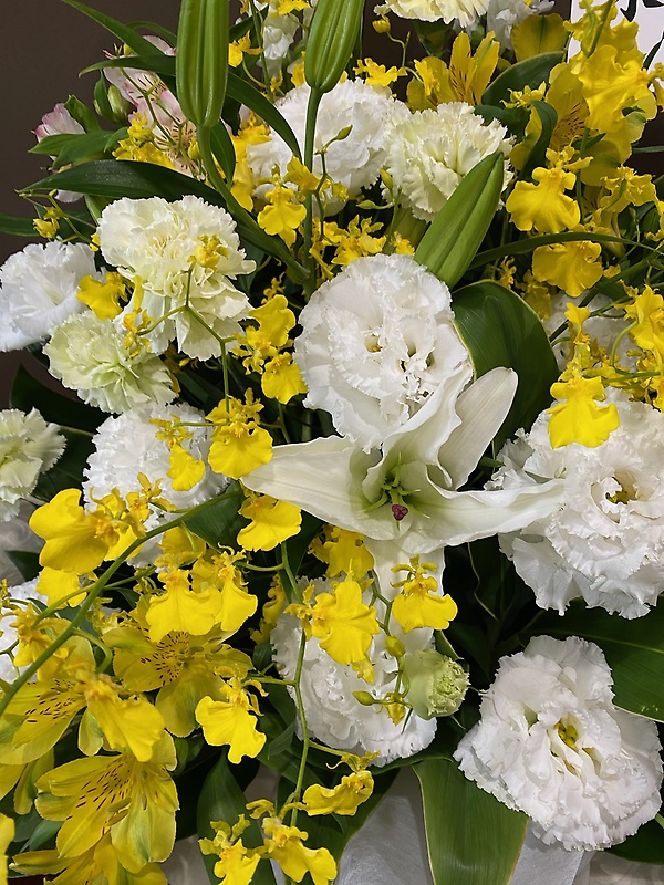 いろは｜お花屋さん「札幌１０区 ミルフルール」のお花